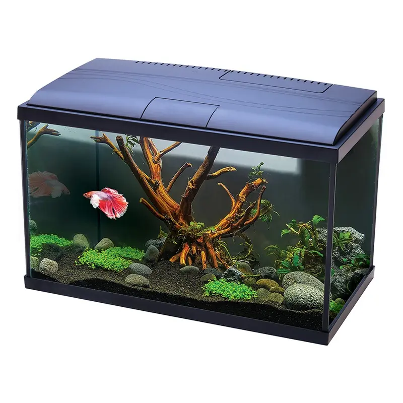 Love Fish Betta Aquarium 22 Litre