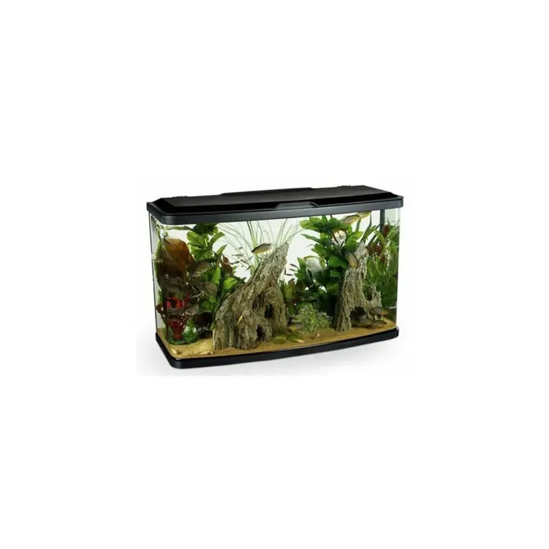 Marina Vue 87 Aquarium