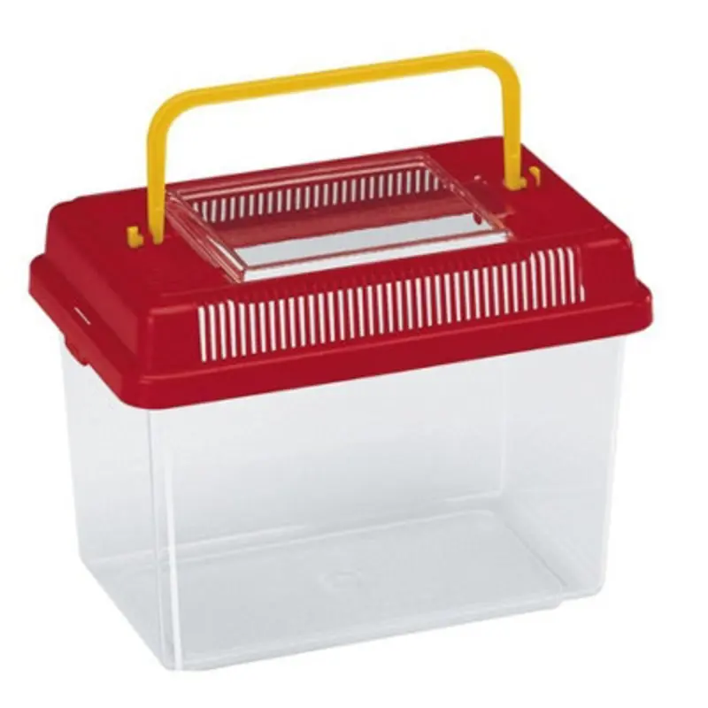 B&Q Geo Plastic Tank Small Mixed Colours 18.2X11.5x14cm