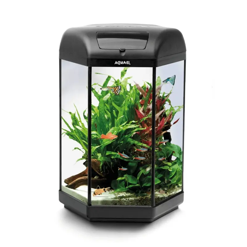 New Aquael Hexa Tank
