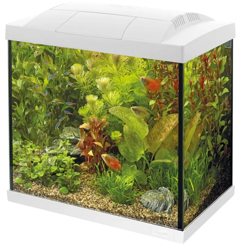 Superfish Start 30 Tropical Aquarium - White