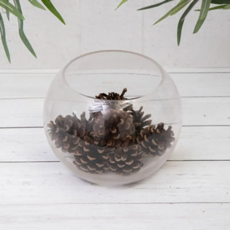 B&Q Annibells Clear Glass Fish Bowls (9914) - 20 Cm Medium