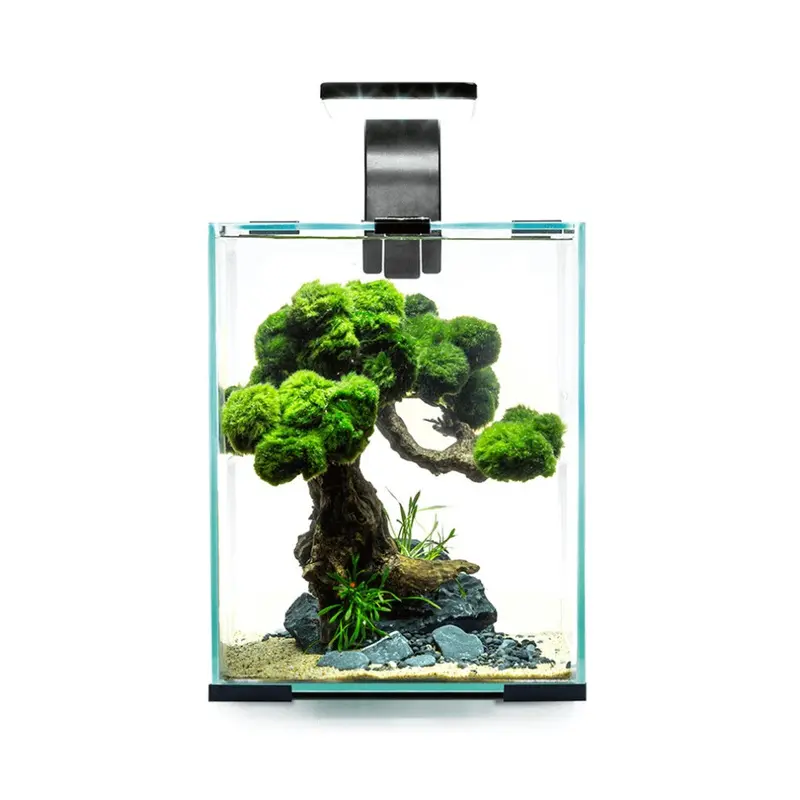 Aquael Black (10L, ) Shrimp Set Day And Night 10L