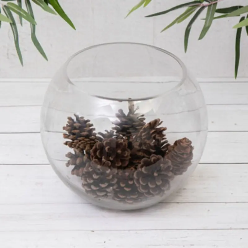 B&Q Annibells Clear Glass Fish Bowls (9914) - 25 Cm Large