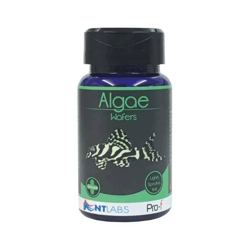 Nt Labs Pro-F Algae Wafers 110G