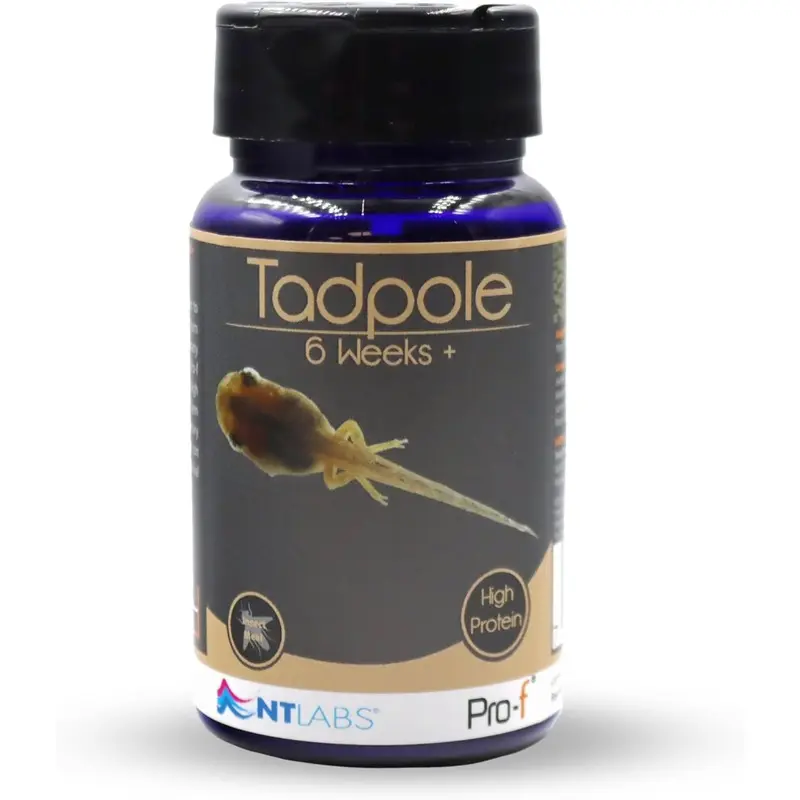 Nt Labs Tadpole Food (6 Weeks+) Inect Meal Protein Native & Exotic Tadpoles Diet Size 6