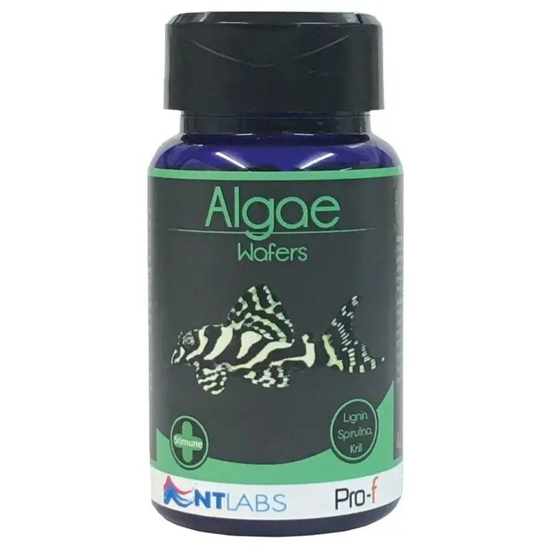 Nt Labs Pro-F Aquarium Algae Wafers 40G
