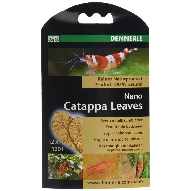 Dennerle Nano Catappa Leaves, W Size 1
