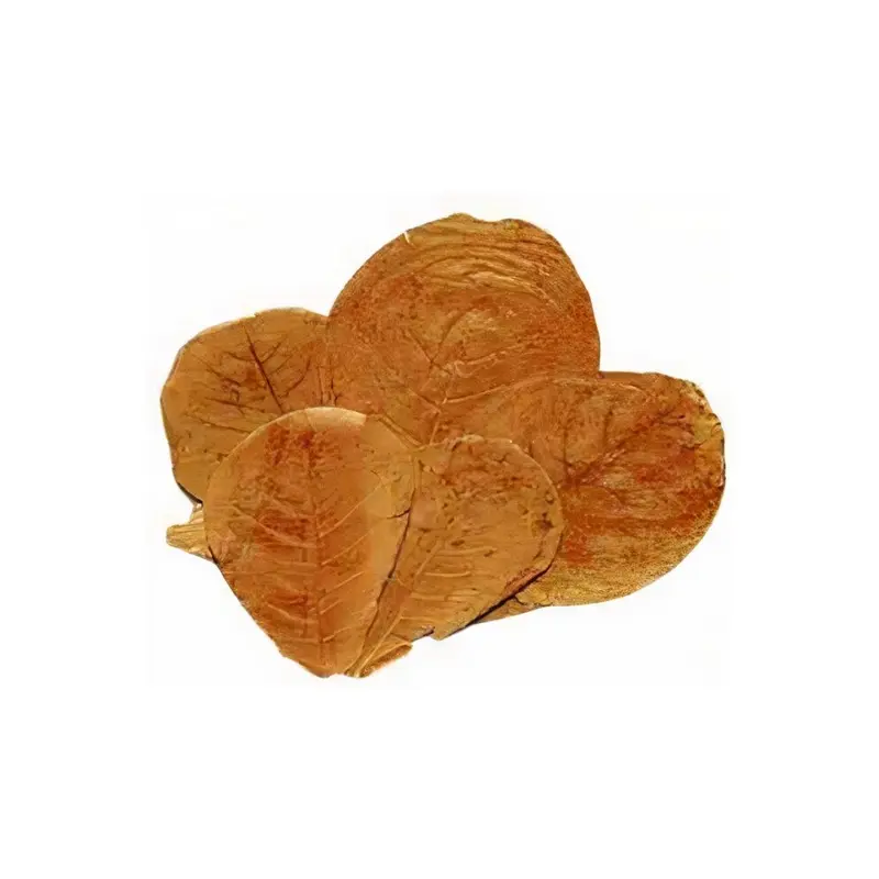 Ceramicnature Brown Leaves Catappa Vegetable Pieces Size 25