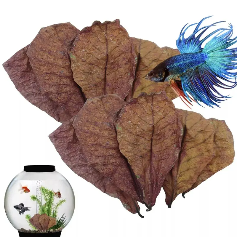 50Pcs Indian Almond Leaves For Aquarium Betta Fish Shrimp Large