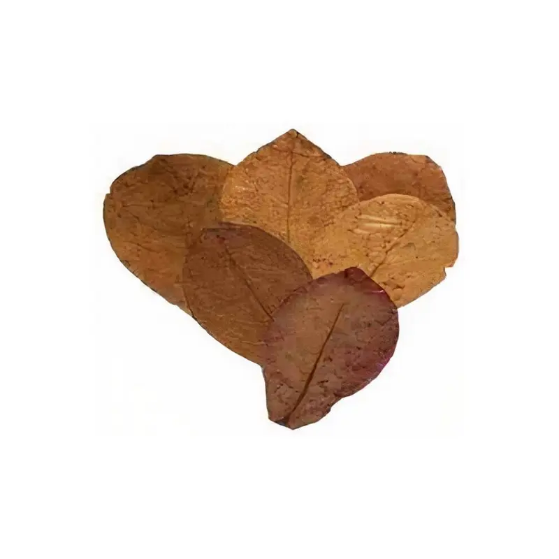 Ceramicnature Brown Leaves Catappa Vegetable Pieces Size 15