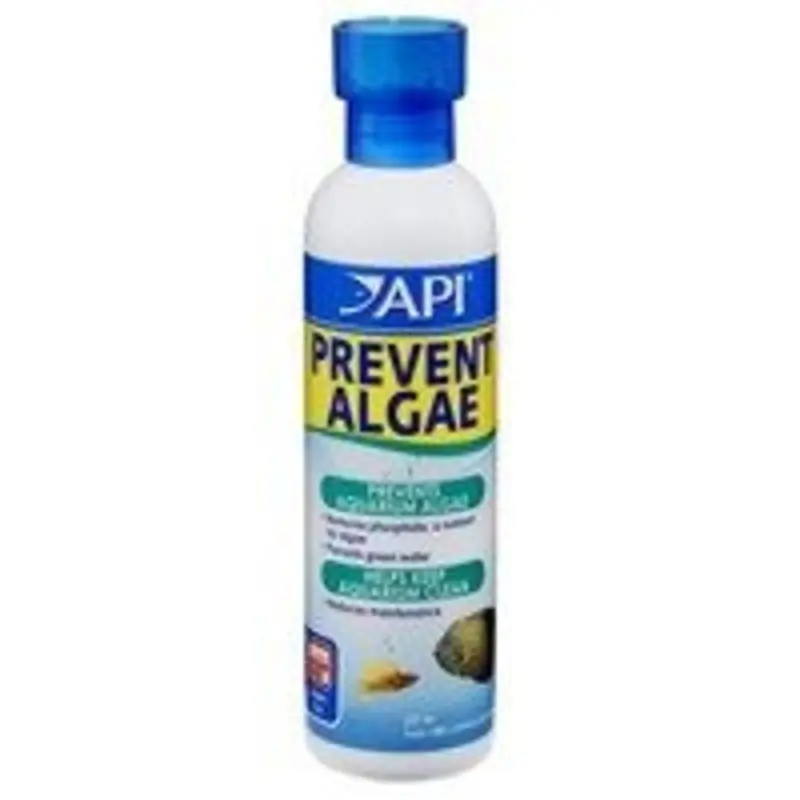 Api Liquid Prevent Algae - 118Ml