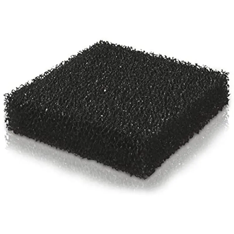 Jewel Carbon Sponge Compact