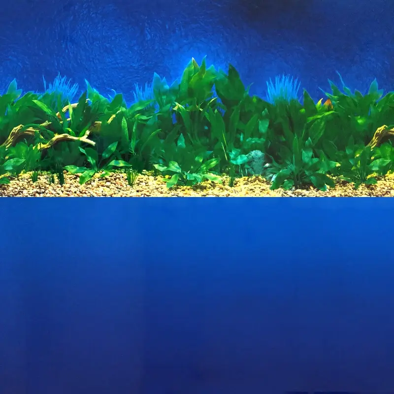 Aquacadabra Blue (36) Deep Sea / Amazon Waters Repeating Background - 12"H Size 36