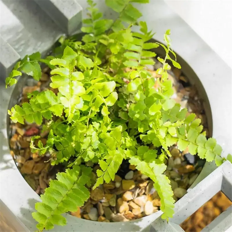 Green Mini Fish Tank Aquarium Starterkits Mute Water Flow Filter B Size 1