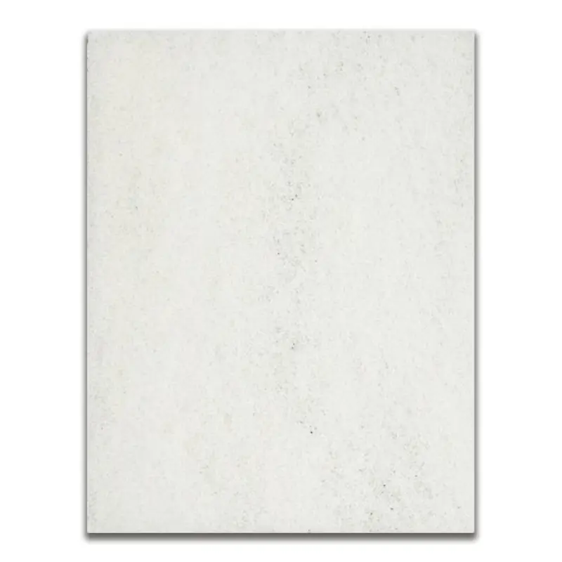 Savio Republic Savio Replacement Filter Mat For Standard Skimmerfilter - Rs020