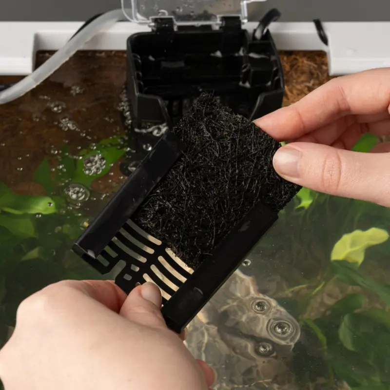 Interpet Bio-Cf3 Filter 1 Month Service Pack