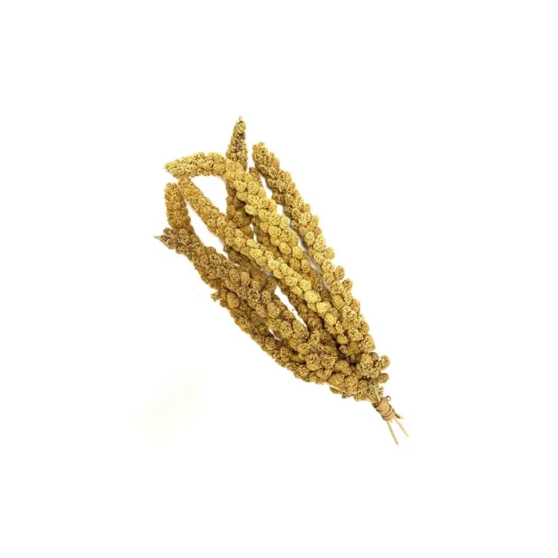 Millet Sprays X Premium Aviary Bird Food Sold By Maltbys Stores 1904 Ltd 1Kg