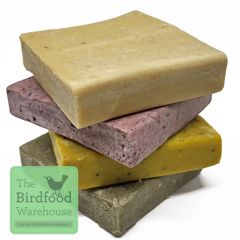 New Bunny Bistro Mixed Suet Blocks, Insect Fat Suet High Energy, (48 Pack) Size 48