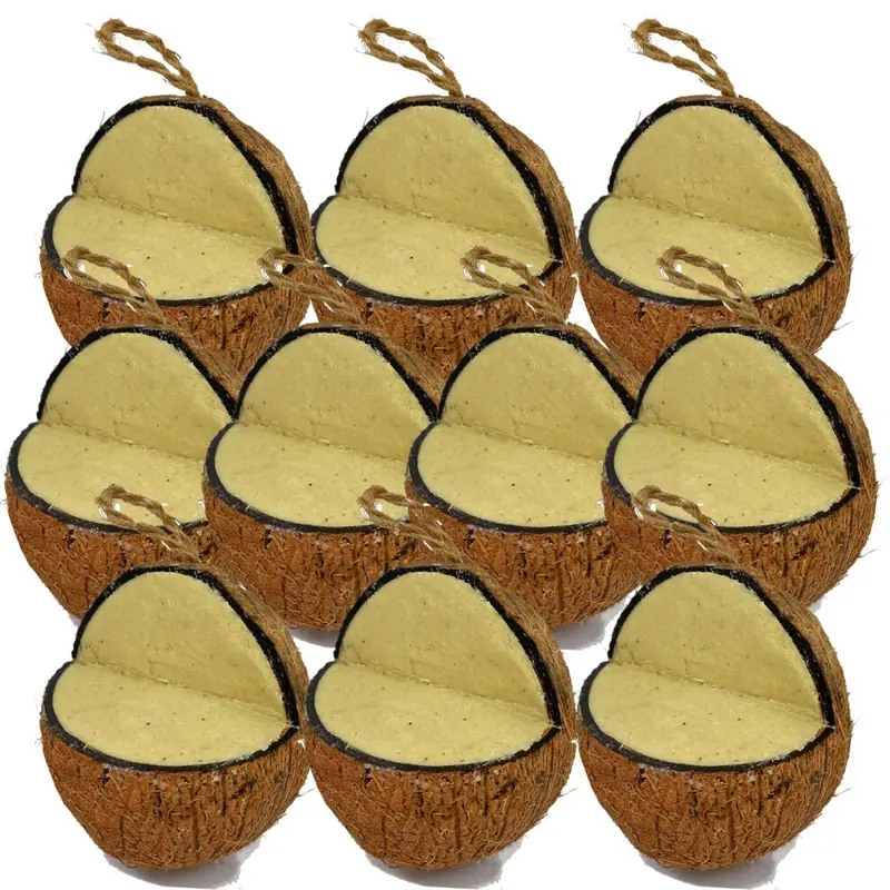 Love Wildlife Peanut Butter Suet Coconut Hanging Feeders 10Pk | Wild Bird Food Size 10