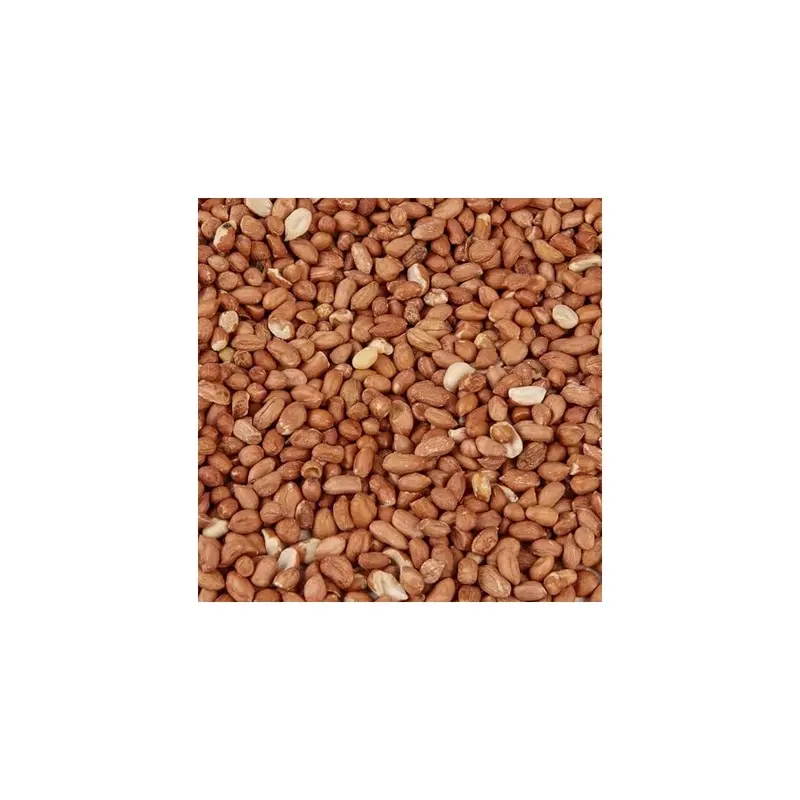 New Hungry Wings Wild Bird Food (1Kg, Peanuts) 1Kg