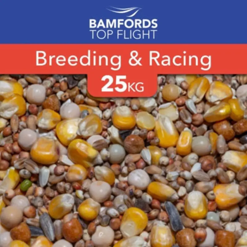 B&Q Bamfords Top Flight Breeding And Racing Pigeon Food 25Kg