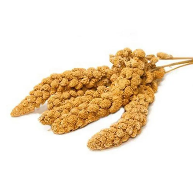 B&Q Yellow Countrywide Millet Sprays For Birds 15Kg