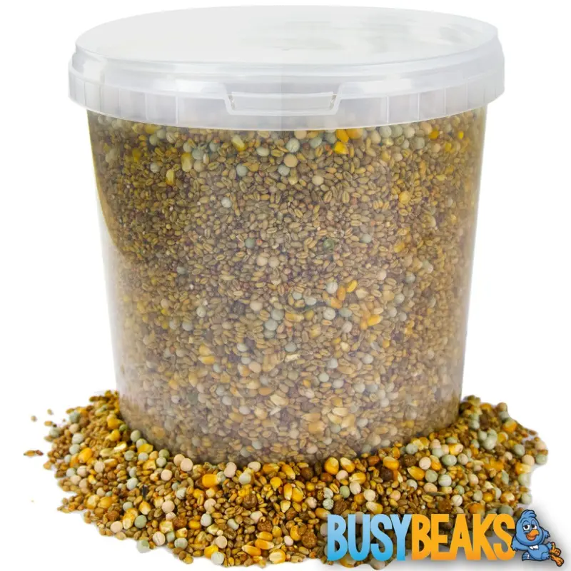 Busybeaks Four Seasons Pigeon Corn (2.5L) 2.5L