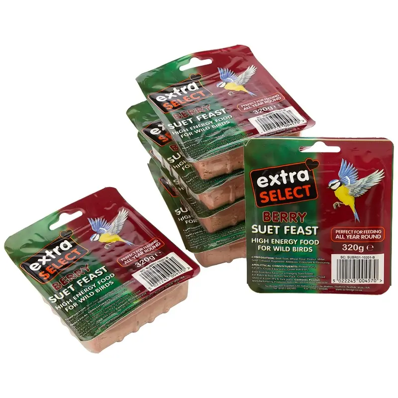 Extra Select Wild Bird High Energy Suet Block Wild Berry, 320 g (Pack of 6)