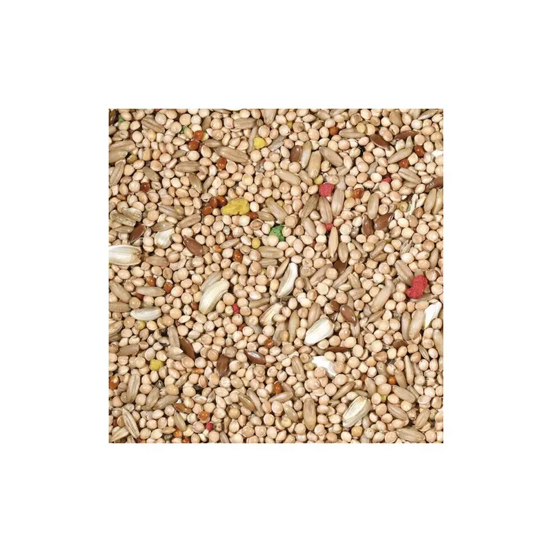 Canto Alegre Parakeet Budgie Seed Finches Bird Food Lbs - 1.10 Lbs - 0.55 Lbs Size 2.20