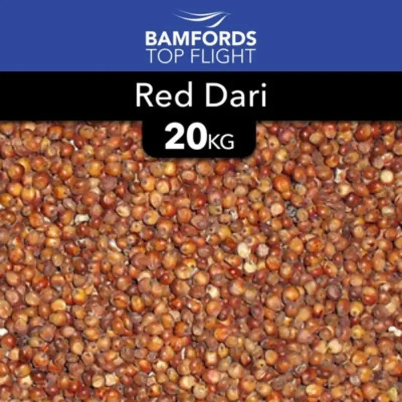 B&Q Red Bamfords Top Flight  Dari Bird Food 20Kg