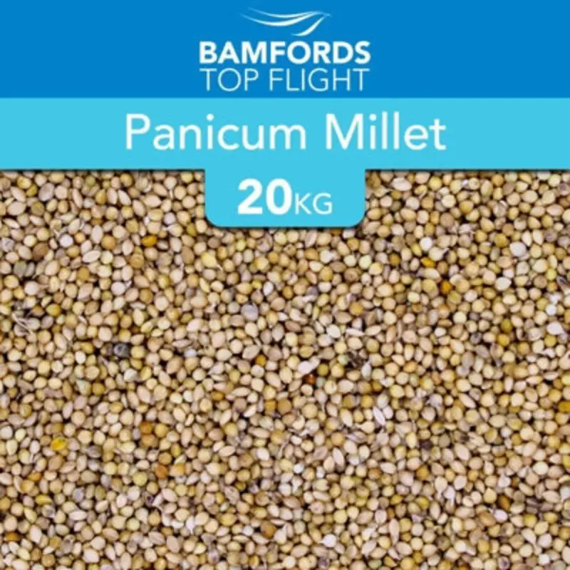 B&Q Bamfords Panicum Millet Bird Seed 20Kg