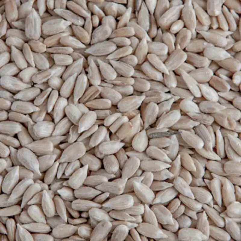 Leagrams 20Kg Sunflower Hearts