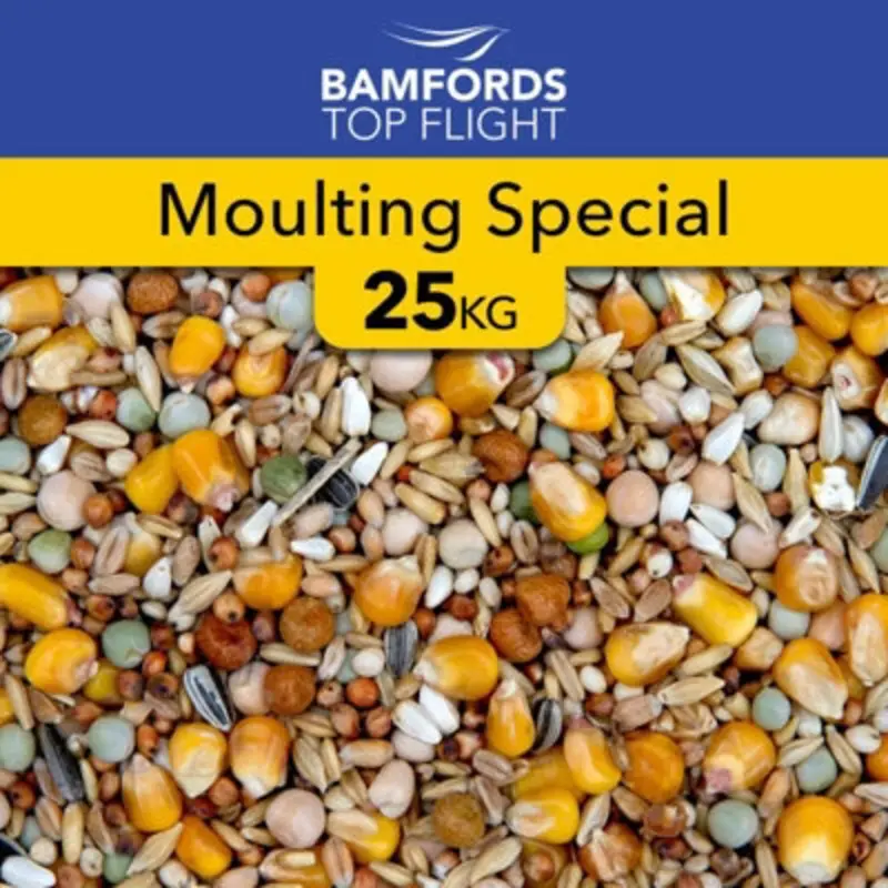 B&Q Bamfords Top Flight Moulting Special Racing Pigeon Food 25Kg