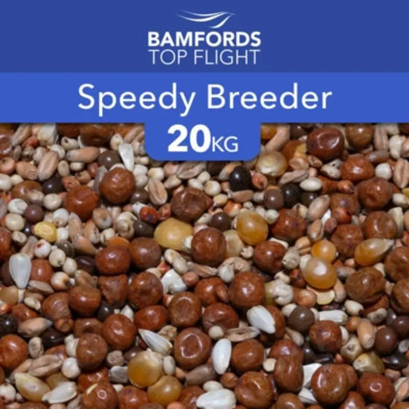 B&Q Bamfords Top Flight Speedy Breeder Racing Pigeon Food 20Kg