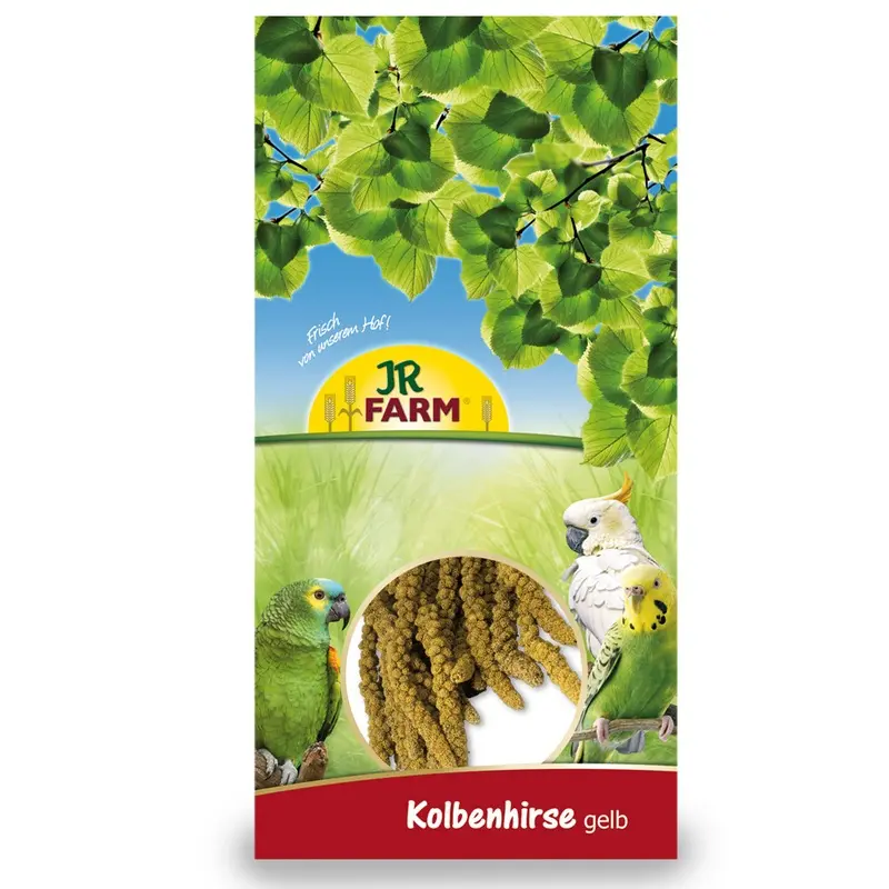 Jr Farm Yellow Foxtail Millet - 1Kg