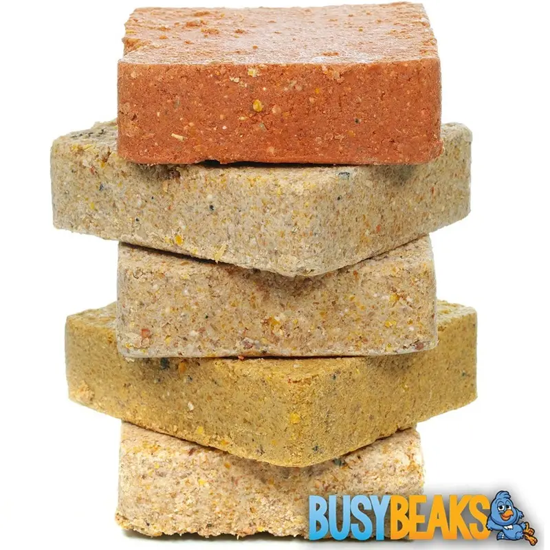 Busybeaks Suet Blocks (Mixed, 10) Size 10