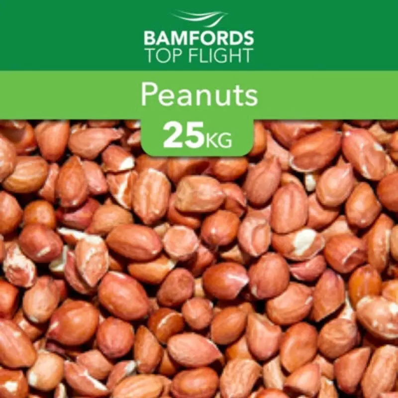 B&Q Bamfords Peanuts Wild Bird Food 25Kg Medium