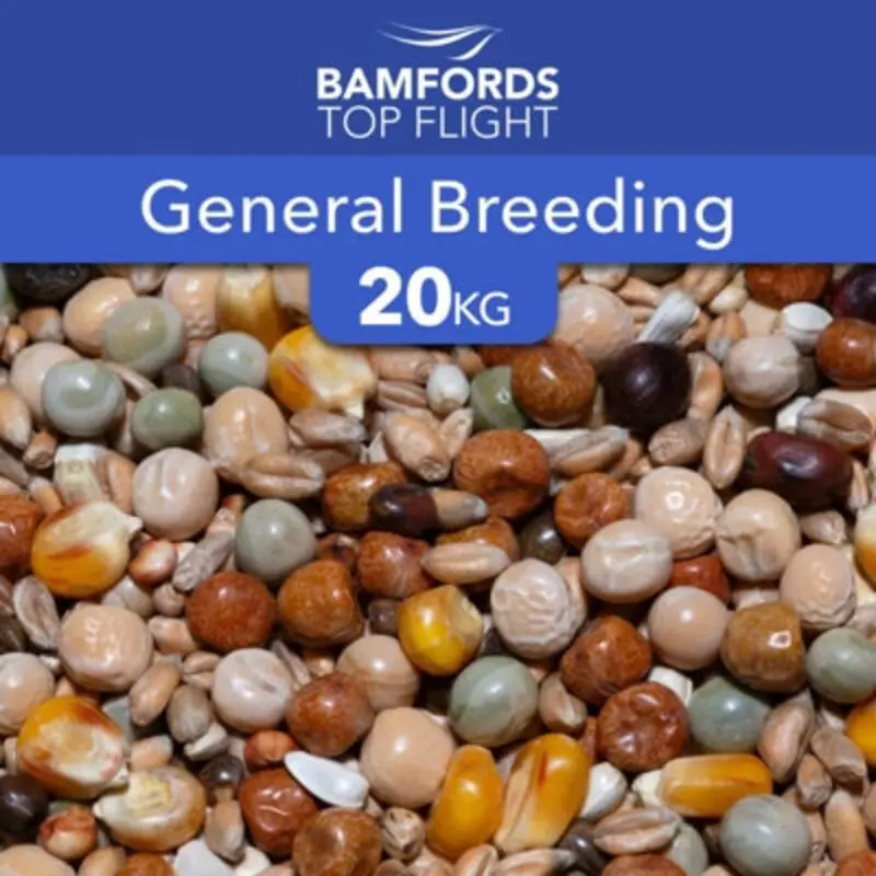 B&Q Bamfords Top Flight General Breeding Racing Pigeon Food 20Kg