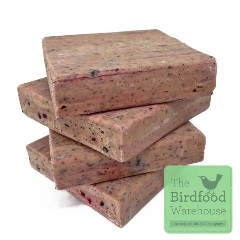 The Birdfood Warehouse Fruit & Berry Suet Blocks, Insect Fat Suet, High Energy, (96 Pack)
