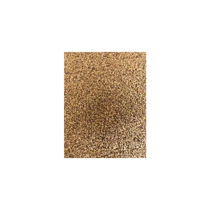 Maltbys Stores 1904 Limited 1Kg Panicum Millet Seed Mixed Cage Bird Food Lgds Small