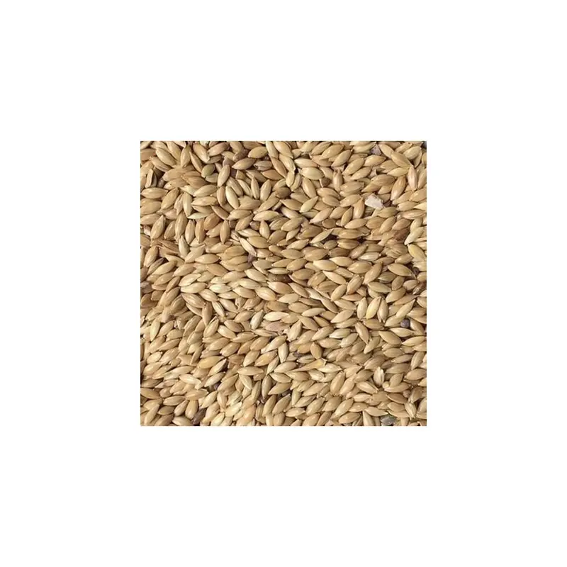 Maltbys Stores 1904 Limited 1Kg Plain Canary Seed Mixed Cage Bird Food Lgds Small
