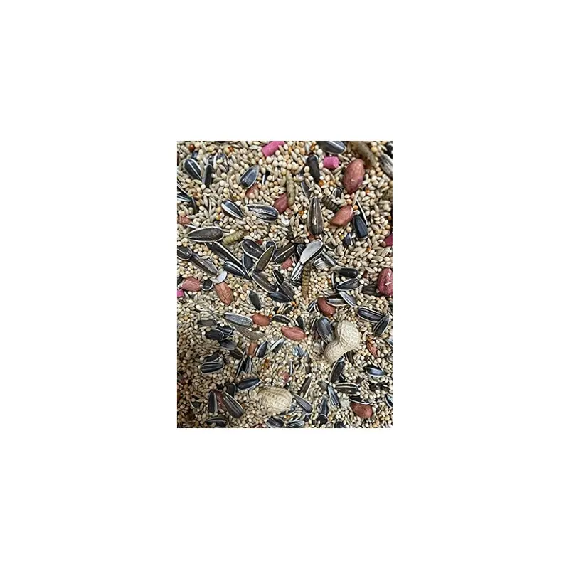 Maltbys Stores 1904 Limited Wild Bird Allsorts Premium Wild Bird Food Lgw 1Kg