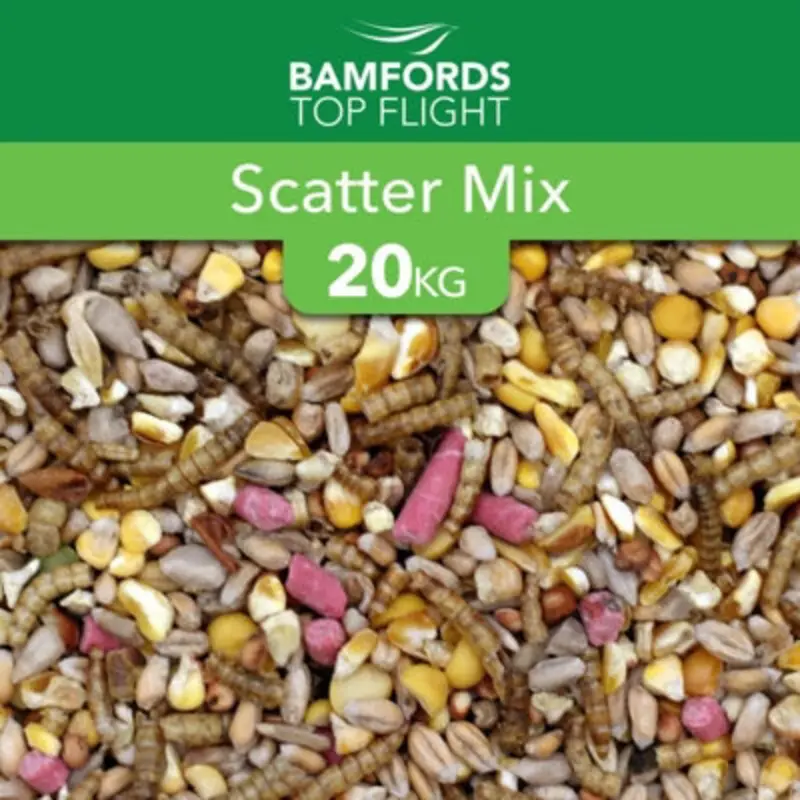 B&Q Bamfords Scatter Mix Wild Bird Seed 20Kg