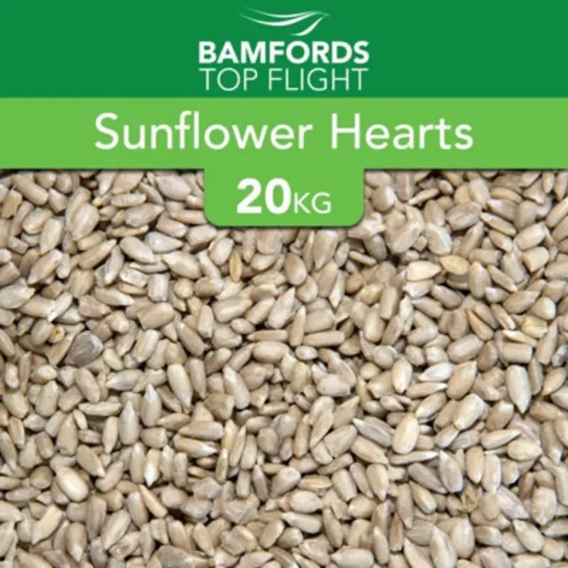 B&Q Bamfords Sunflower Hearts Wild Bird Food 20Kg