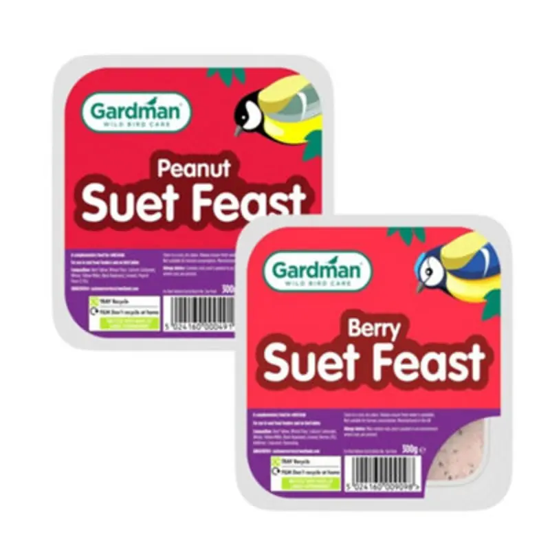 Gardman Wild Bird High Energy Peanut & Berry Suet Feast Block Double Pack