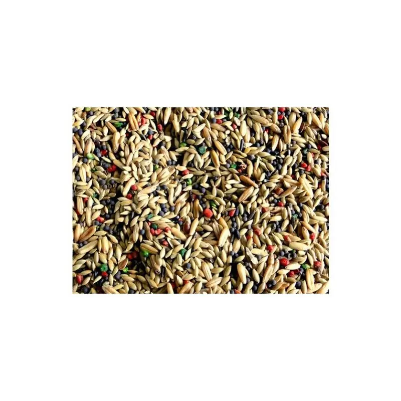 Canto Alegre Canary Mix Seed With Vitamins Breeders Food Lbs - 1.10 Lbs Size 2.20