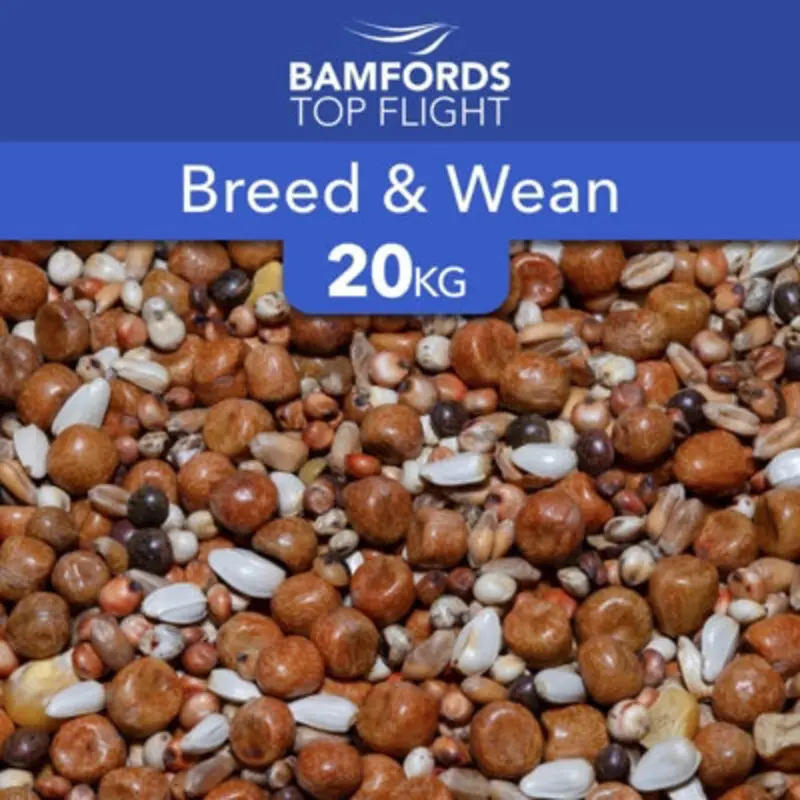 B&Q Bamfords Top Flight Breed & Wean Racing Pigeon Food 20Kg
