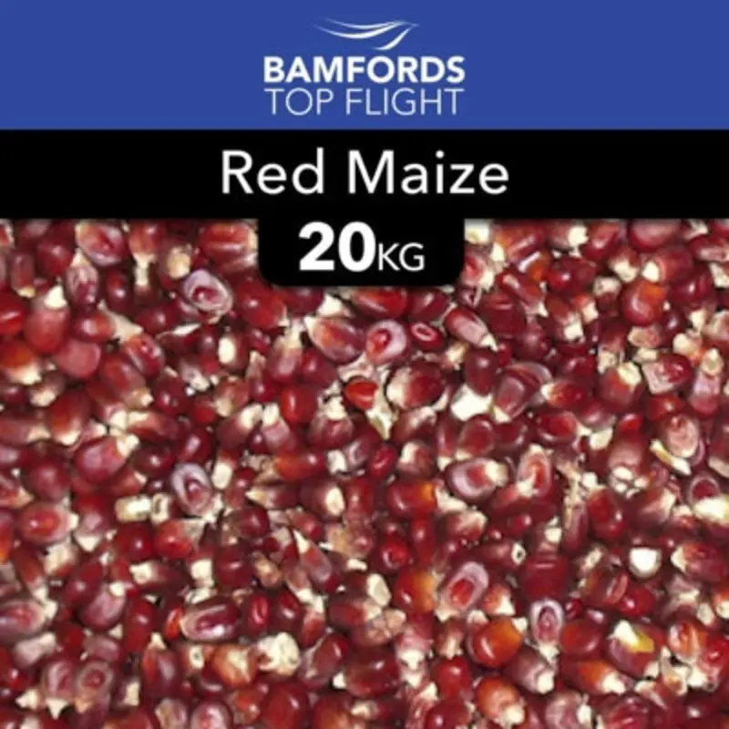 B&Q Red Bamfords Top Flight  Maize Racing Pigeon Food 20Kg