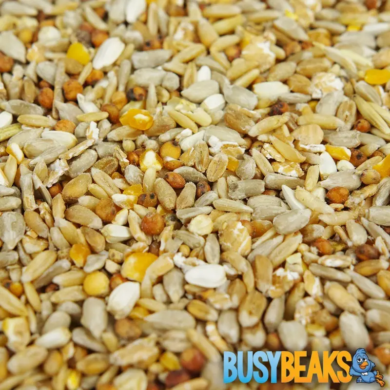 Busybeaks No Mess Seed Mix (5Kg) 5Kg